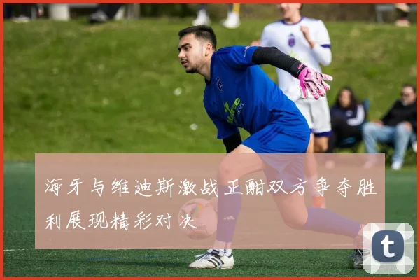 海牙与维迪斯激战正酣双方争夺胜利展现精彩对决