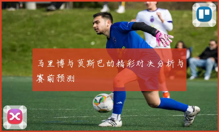 马里博与莫斯巴的精彩对决分析与赛前预测