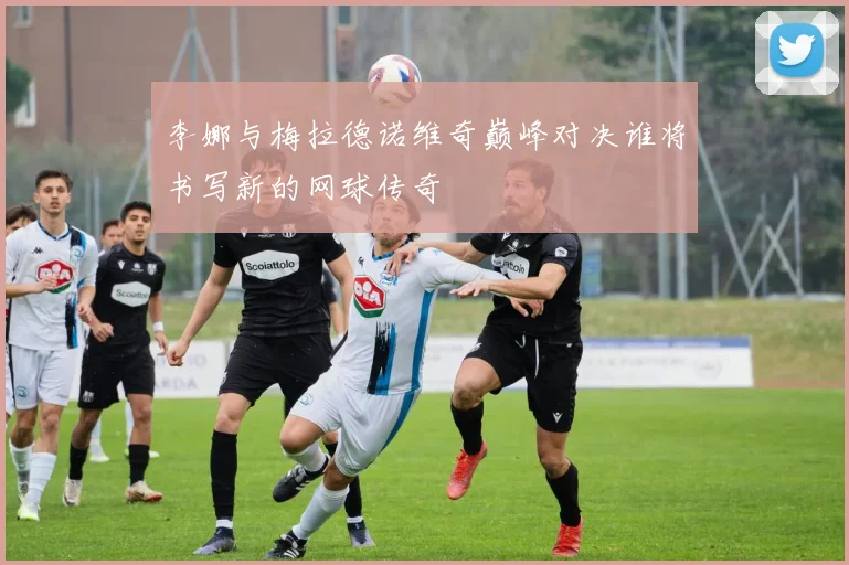 李娜与梅拉德诺维奇巅峰对决谁将书写新的网球传奇