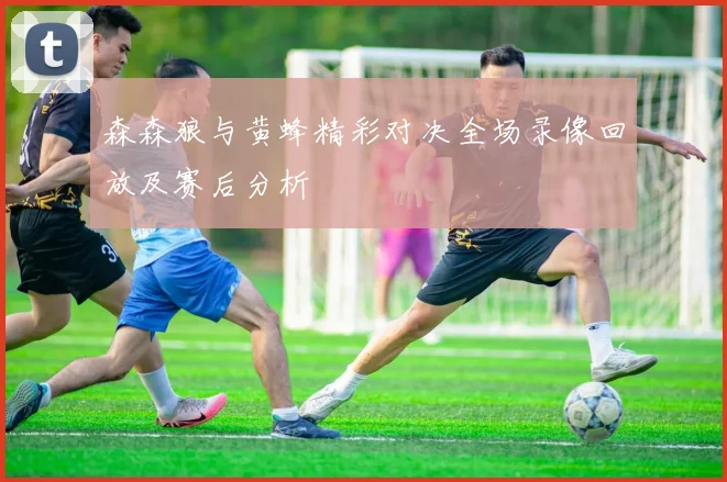 森森狼与黄蜂精彩对决全场录像回放及赛后分析