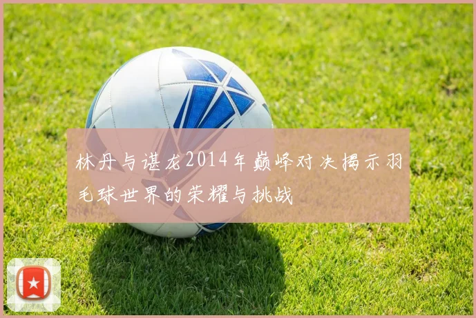 林丹与谌龙2014年巅峰对决揭示羽毛球世界的荣耀与挑战
