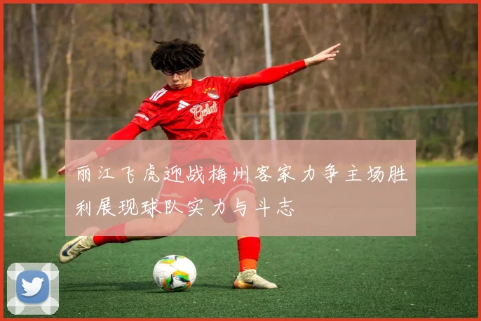 丽江飞虎迎战梅州客家力争主场胜利展现球队实力与斗志