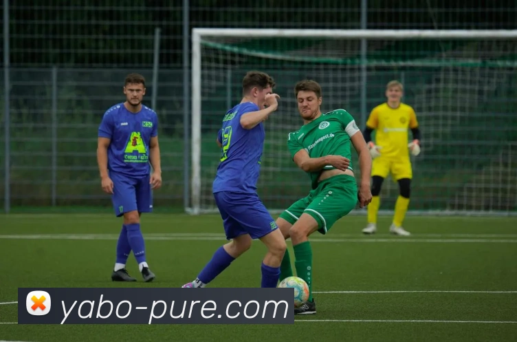 亚博体育平台生态图